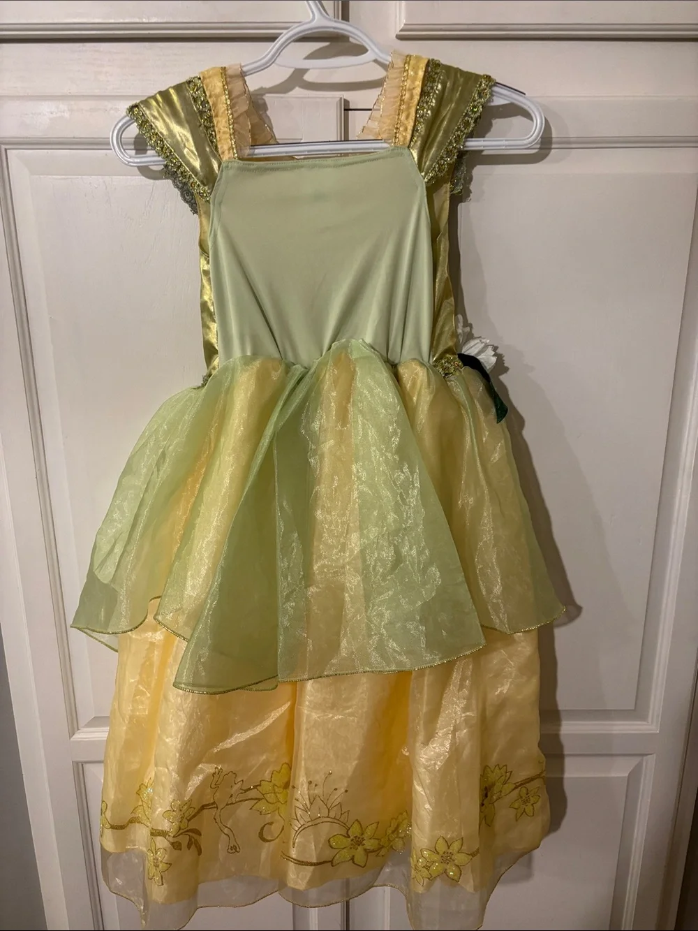 Disney Store Tiana Princess and the Frog Costume Dress sz 5/6